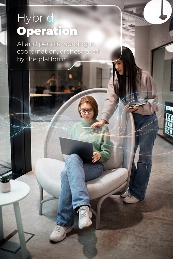 Image hover effect image