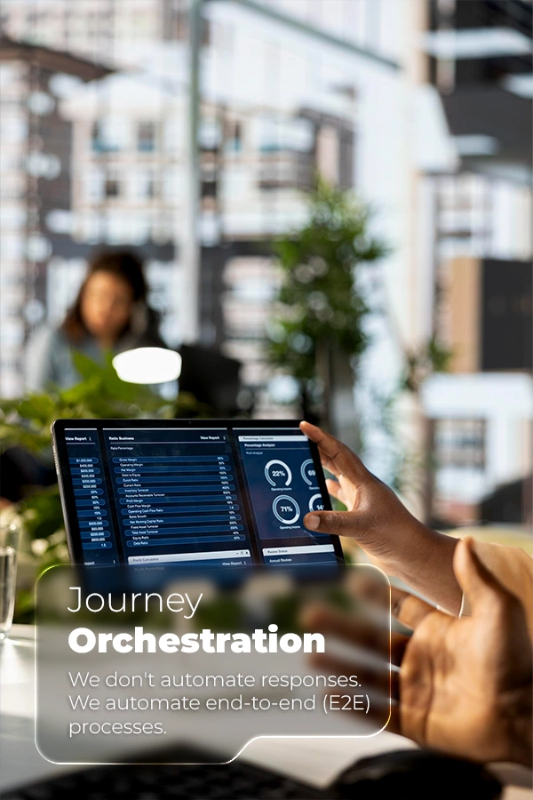 Image hover effect image